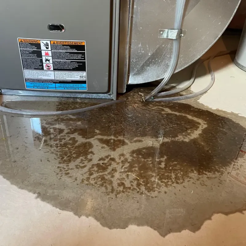 Appliance Leak Cleanup in Merriam Woods, MO
