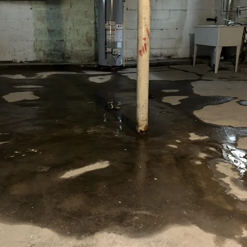 Emergency Water Extraction And Removal in Merriam Woods, MO